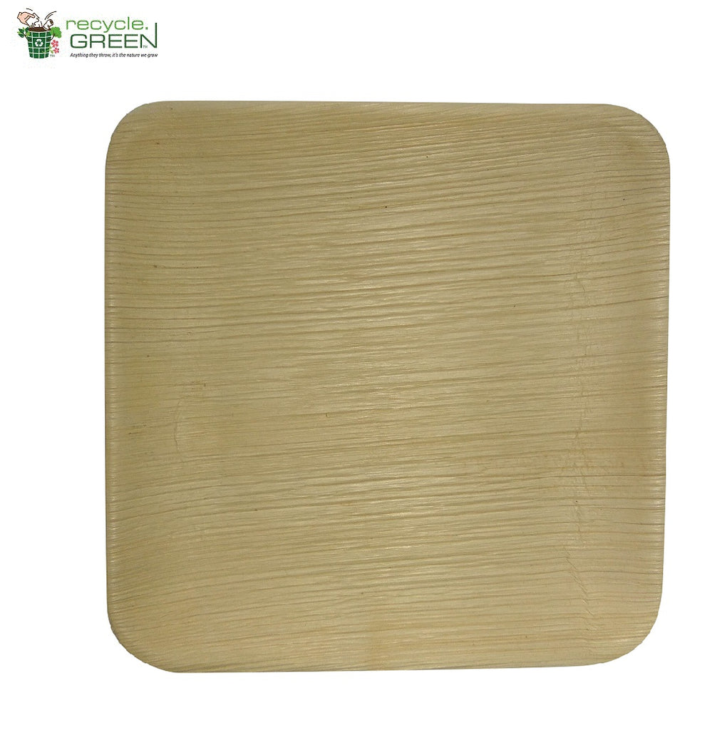 Biodegradable Compostable Areca Square Plate table ware microwave+freezer safe 8 x 8" (Set of 25)