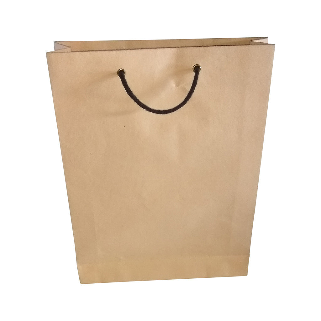 A very useful paper bag 15 inches x 11 inches made out of cloth waste (khadi) paper ( set of 5)