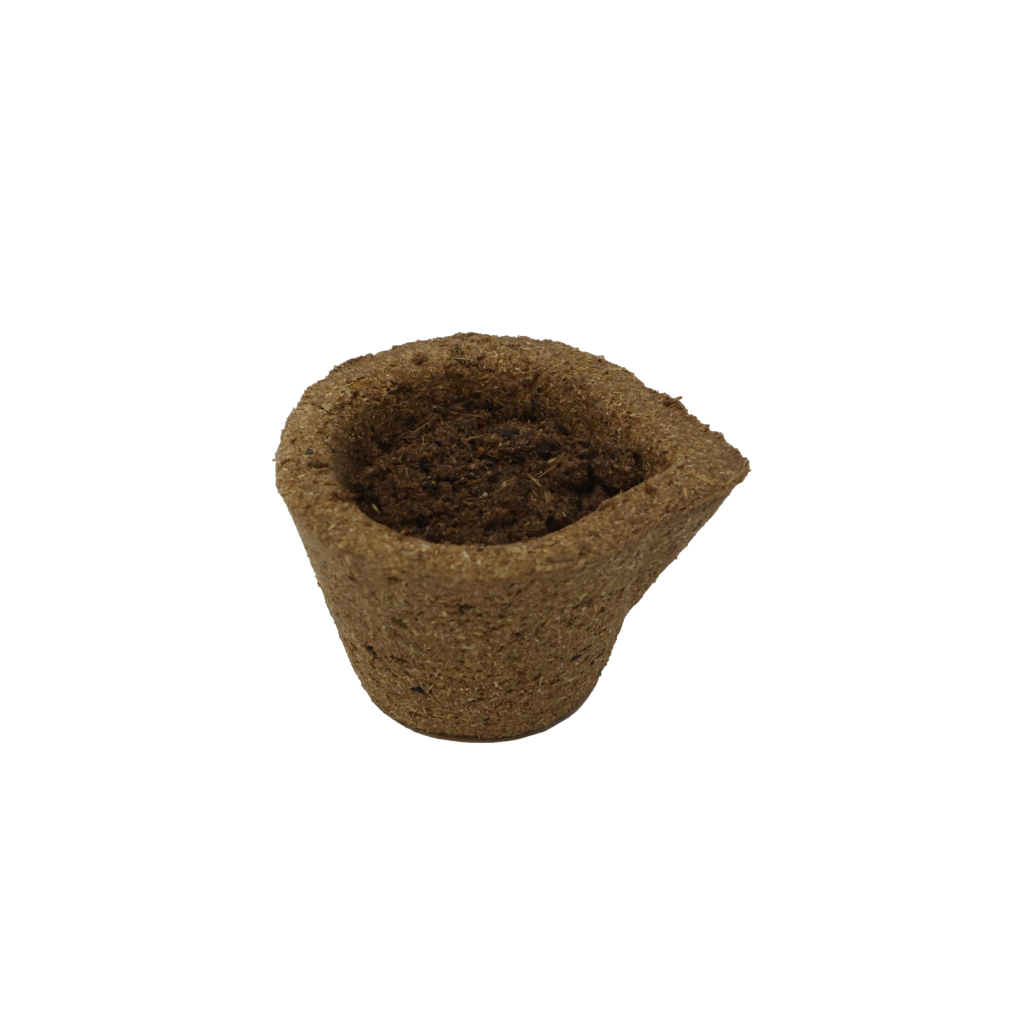 Sambrani (Havan) Cups | 100% Natural | Mosquito Repellent | Air purifier | Set of 12