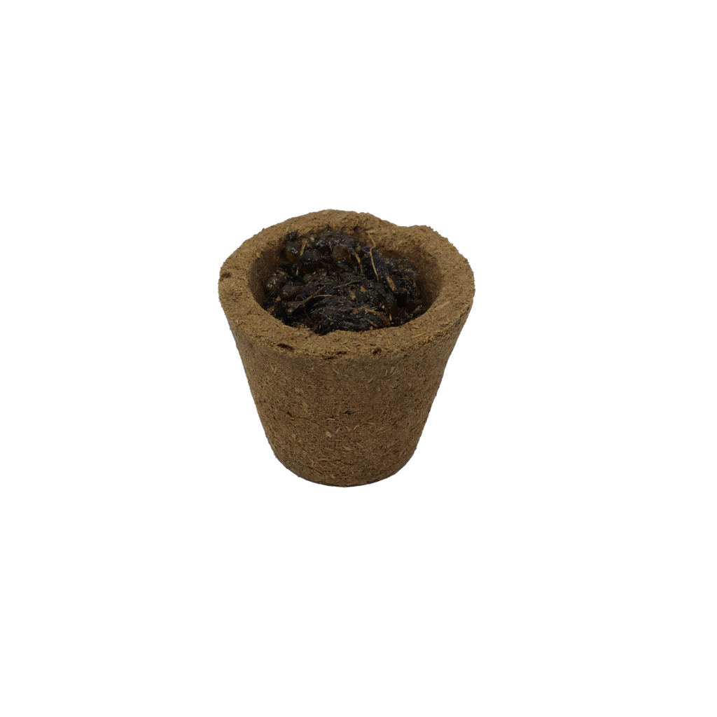 Sambrani (Havan) Cups | 100% Natural | Mosquito Repellent | Air purifier | Set of 12