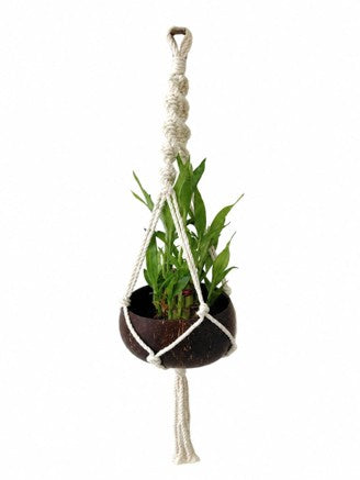 Recycled | Coconut Shell | Round Bowl | Hanging Planter
