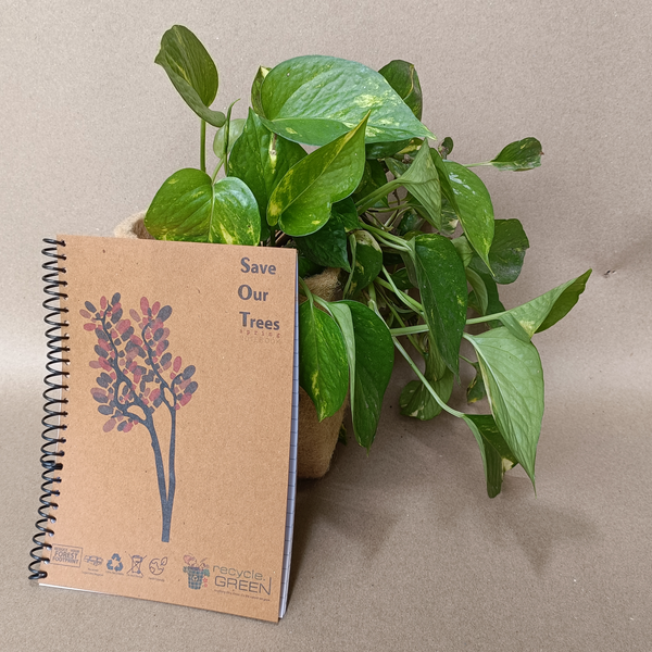 SOT Notebook Diary Spiral A5 size made out of Recycled Paper single line 100 pages- Recycle.Green brand