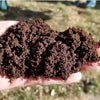 Farmcare | Vermicompost | Bulk Only