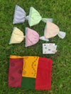 Zero Waste Holi Colours.