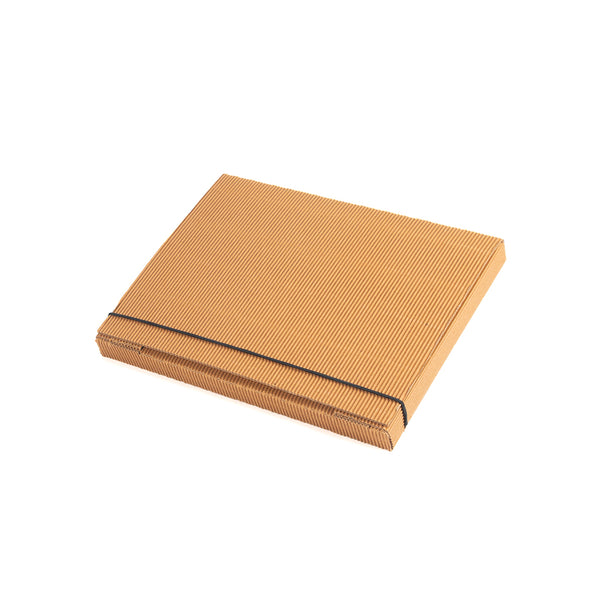 PREMIUM A4 FILE FOLDER Set Of 3