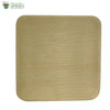Biodegradable Compostable Areca Square Plate table ware microwave+freezer safe 8 x 8" (Set of 25)