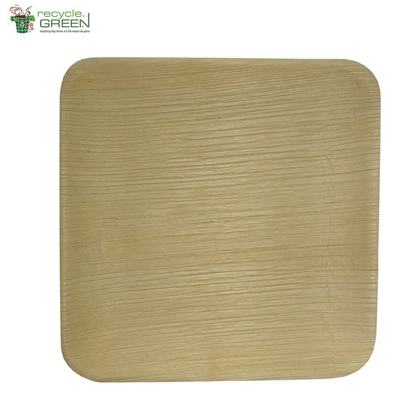 Biodegradable Compostable Areca Square Plate table ware microwave+freezer safe 8 x 8" (Set of 25)