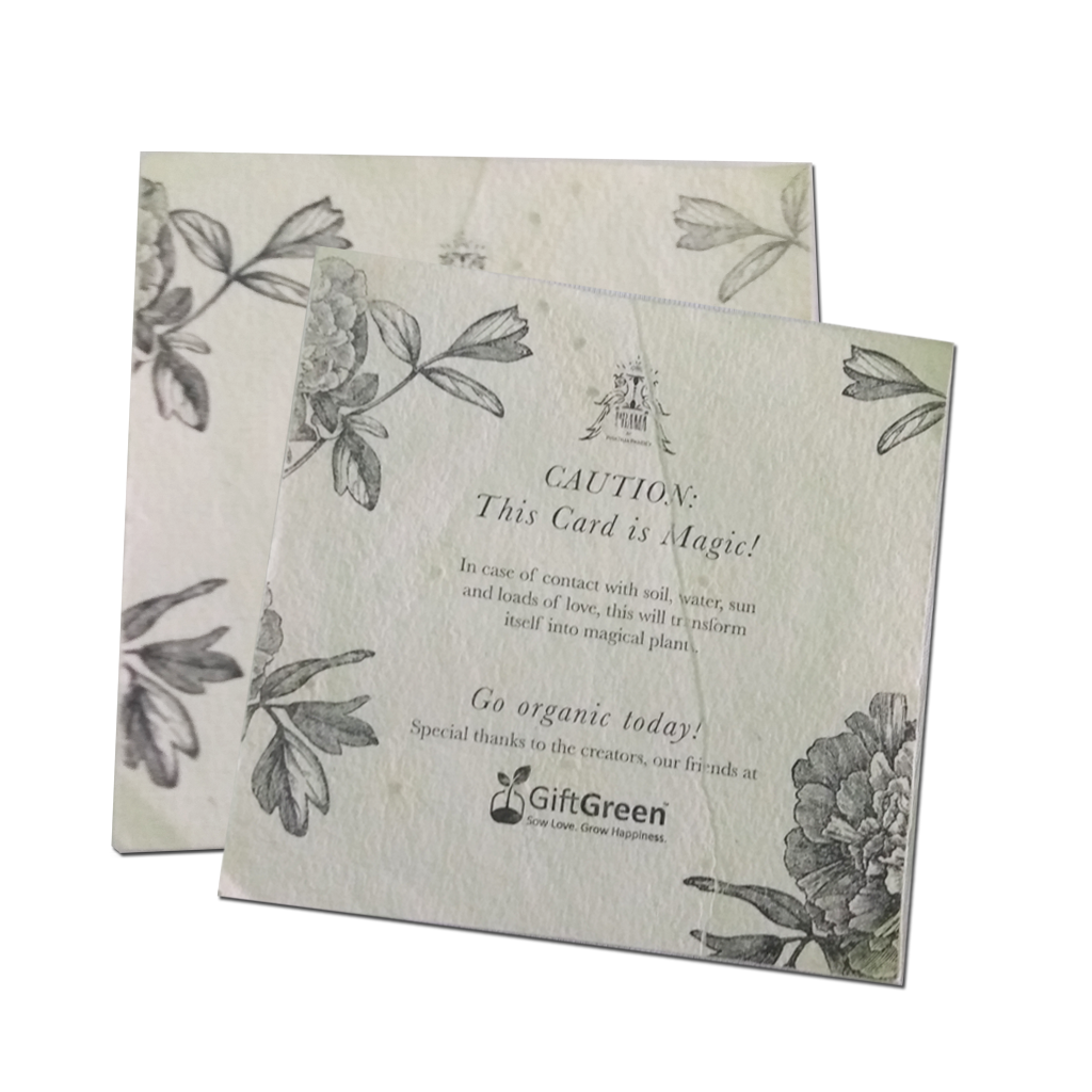 Recycled Plantable Paper Square Invitation Cards 5 inches x 5 inches MOQ !00 Cards