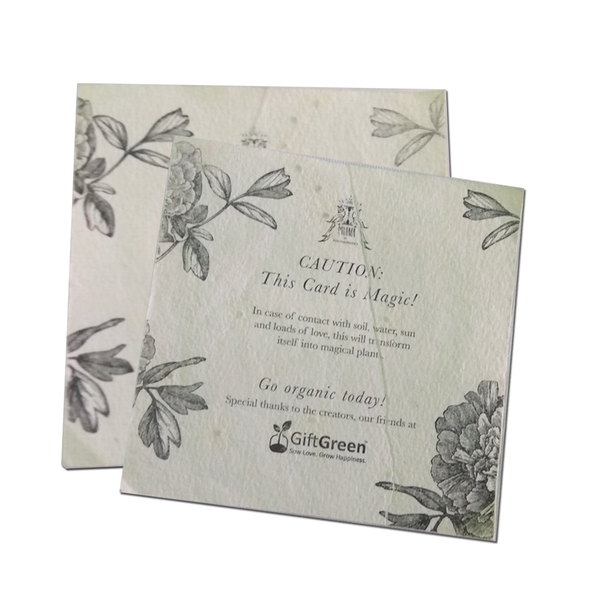 Recycled Plantable Paper Square Invitation Cards 5 inches x 5 inches MOQ !00 Cards