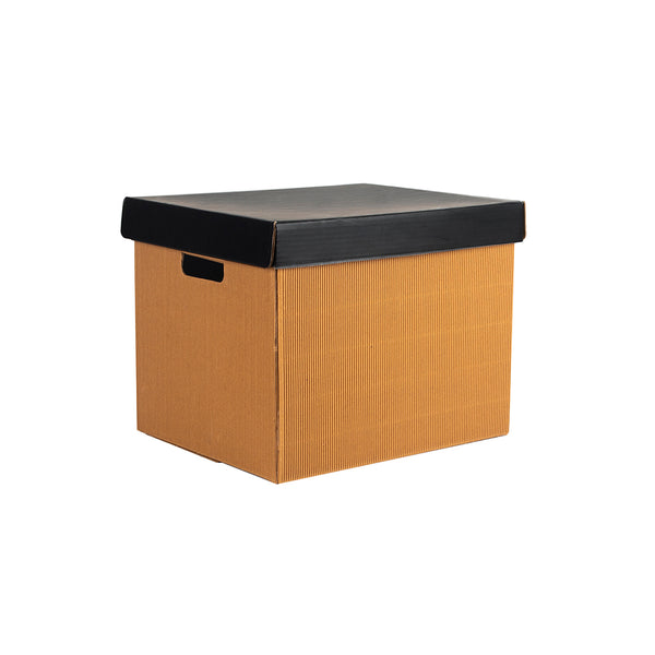 PREMIUM LARGE STORAGE BOX Set Of 3