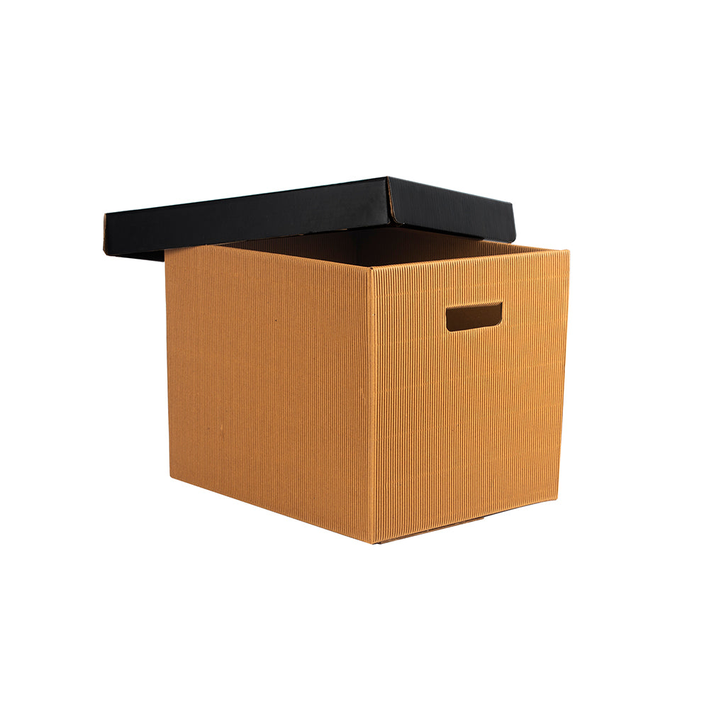 PREMIUM LARGE STORAGE BOX Set Of 3