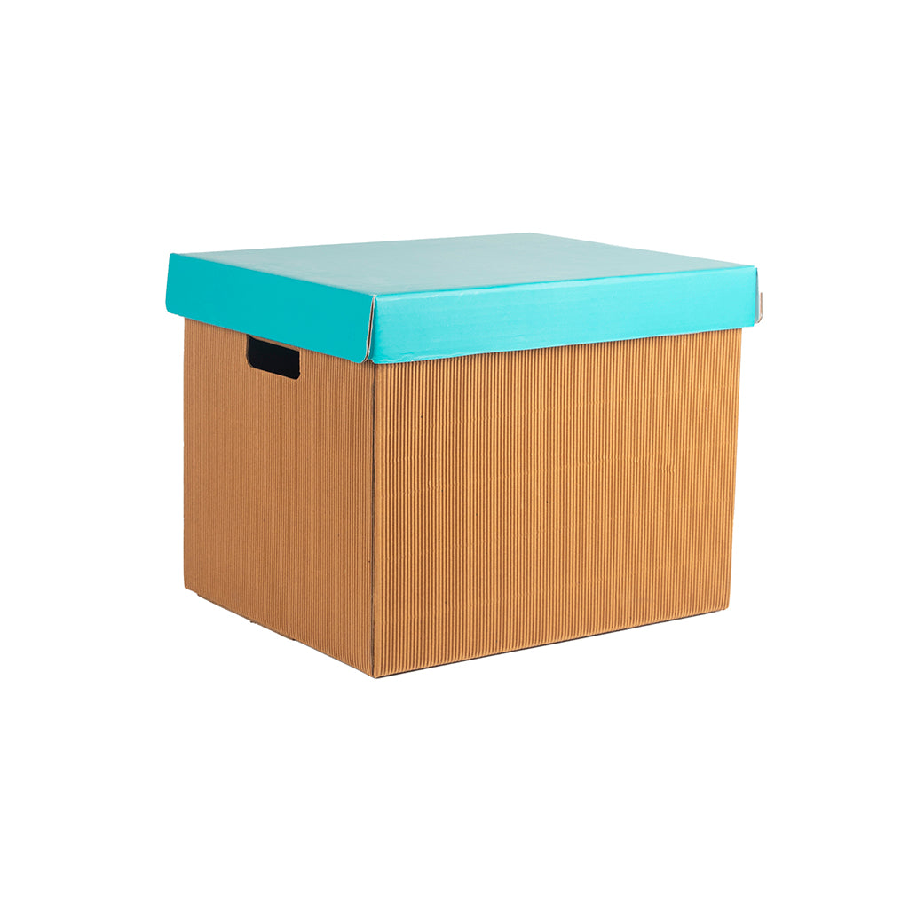 PREMIUM LARGE STORAGE BOX Set Of 3