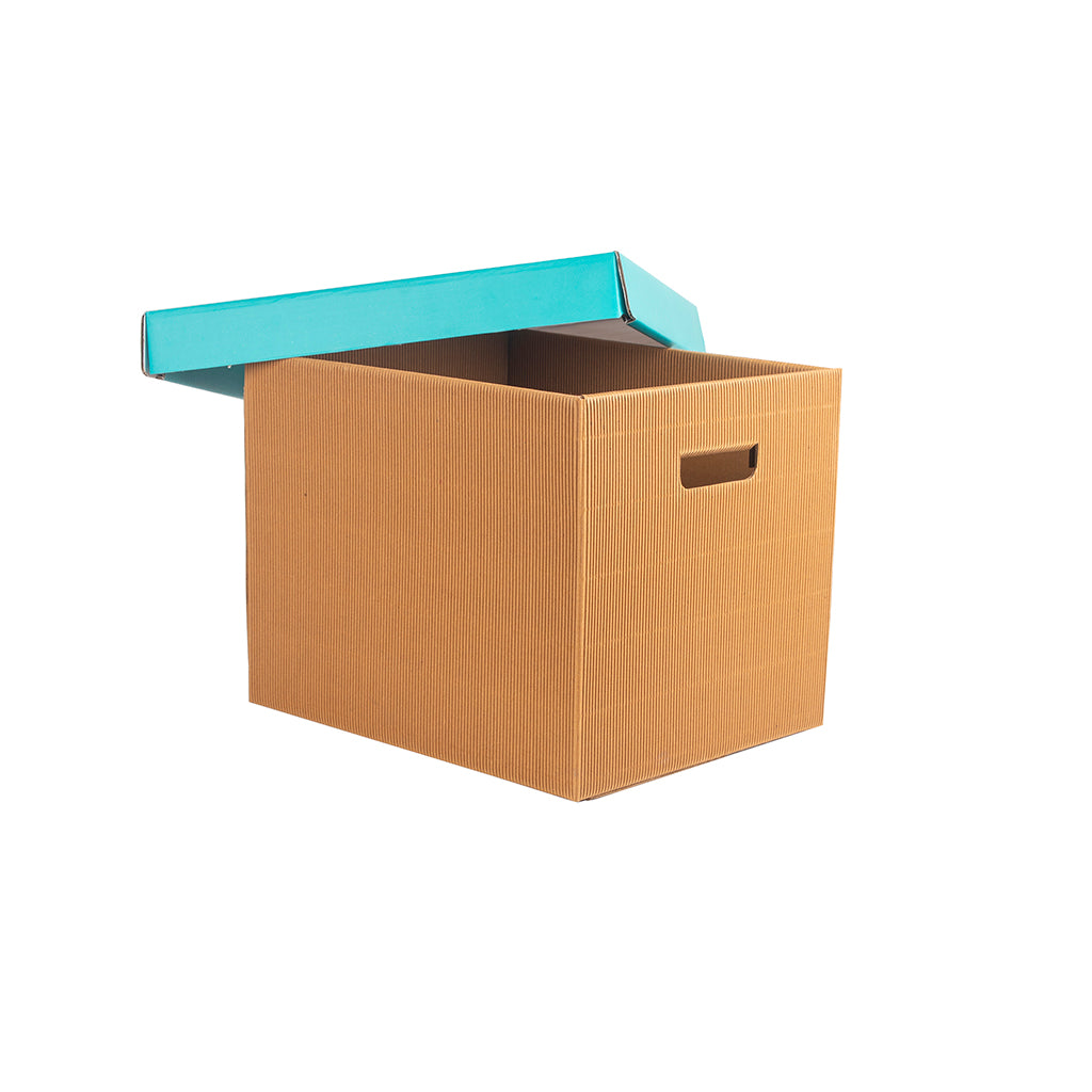 PREMIUM LARGE STORAGE BOX Set Of 3