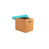 PREMIUM SMALL STORAGE BOX Set Of 3