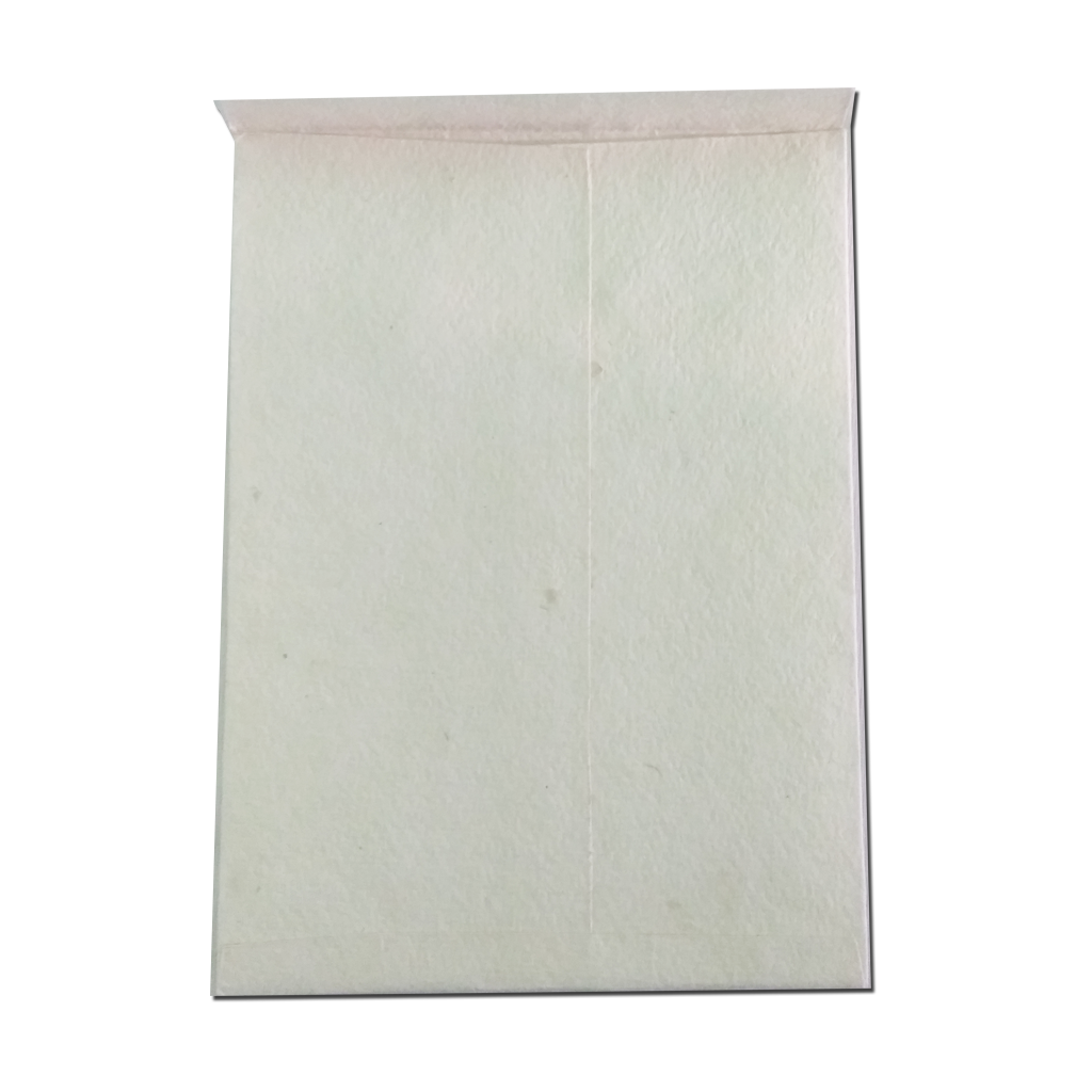 Recycled Plantable Paper Kids Birthday Invitation Cards with Cover 6 x 6 inches (100 Cards)