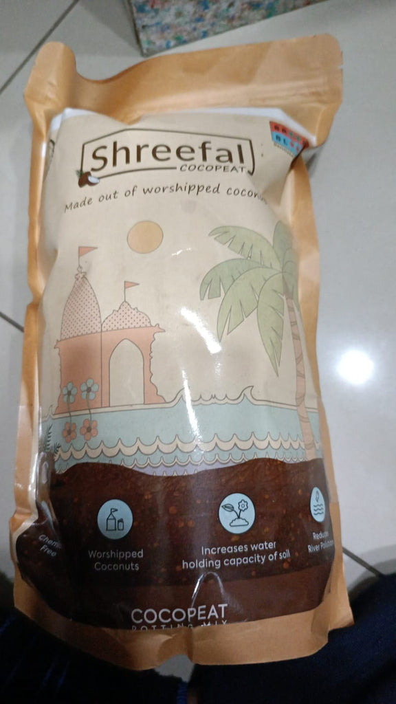 SHREEFAL COCOPEAT
