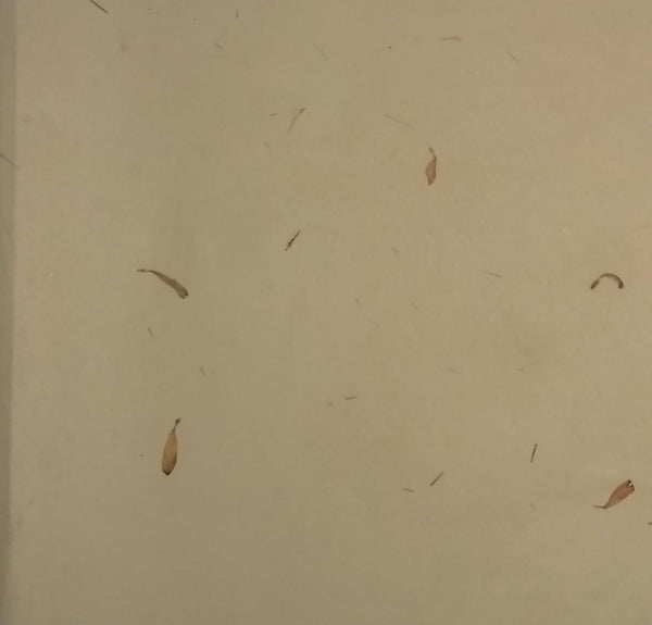 GiftWrap Wrapping Paper - Offwhite colour with flower petals (Set of 5)