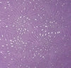 GiftWrap Wrapping Paper - Violet Embossed with silver dots and small petals (Set of 5)