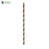 Biodegradable Compostable Paper Straw  (Set of 25)