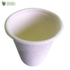 Biodegradable Compostable Sugarcane Bagasse Glass cup 220 ml  (Set of 25)