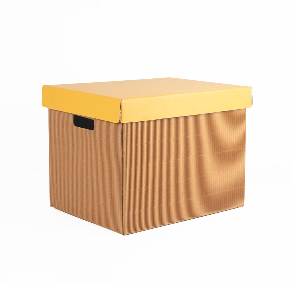 PREMIUM LARGE STORAGE BOX Set Of 3