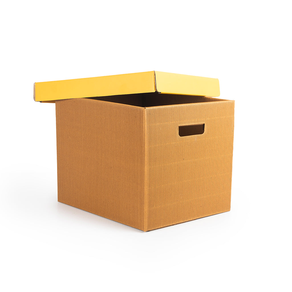PREMIUM LARGE STORAGE BOX Set Of 3