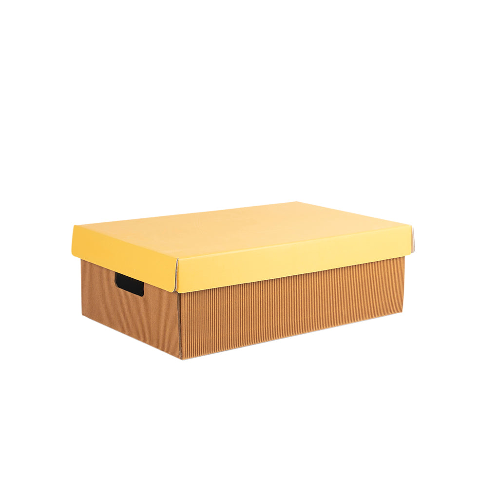 PREMIUM MEDIUM STORAGE BOX Set Of 3