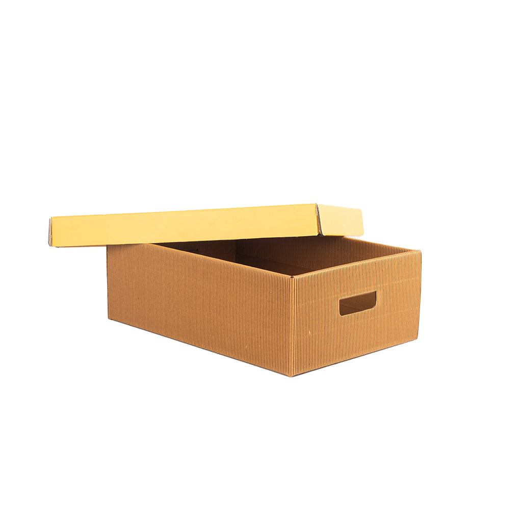 PREMIUM MEDIUM STORAGE BOX Set Of 3