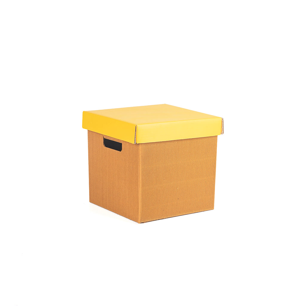 PREMIUM SMALL STORAGE BOX Set Of 3