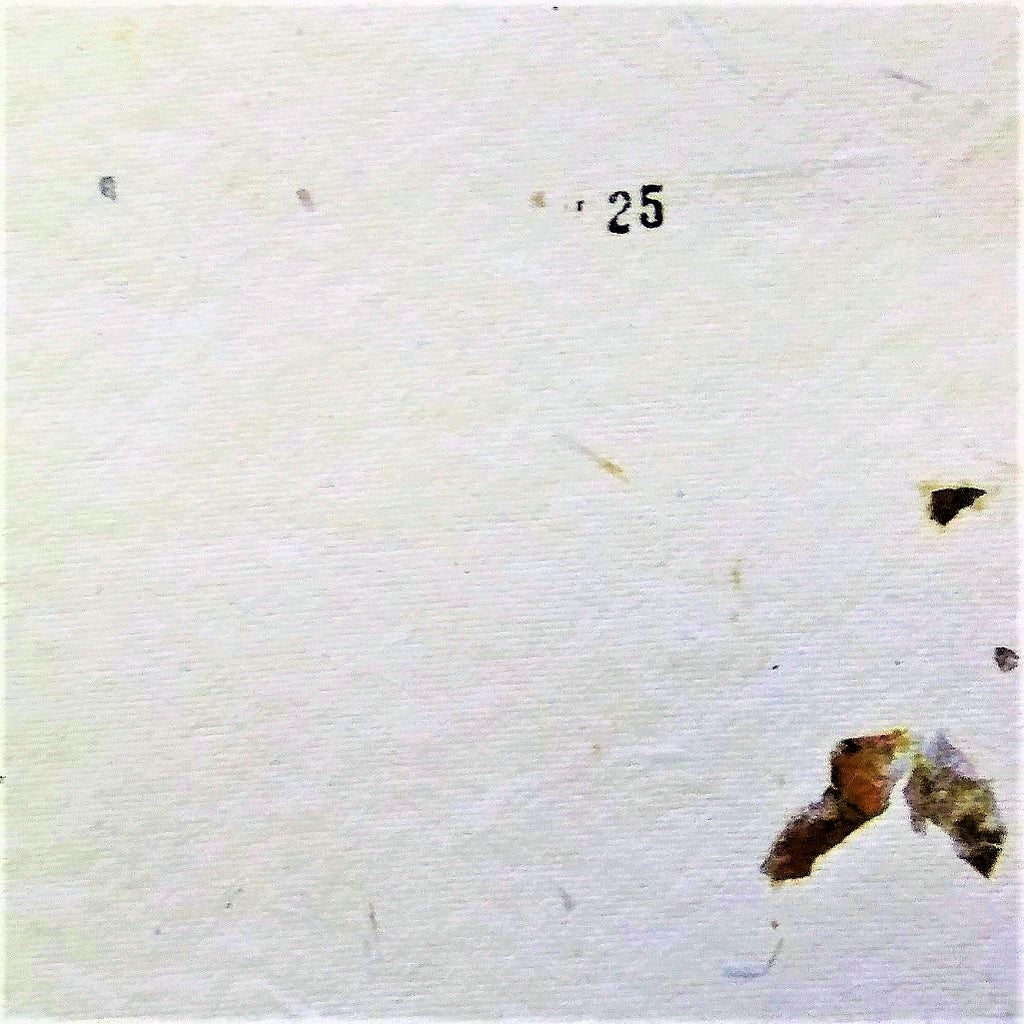 White thick card paper hand made khadi (cotton waste) with embedded violet flower petals set of 5