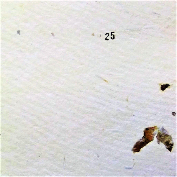 White thick card paper hand made khadi (cotton waste) with embedded violet flower petals set of 5